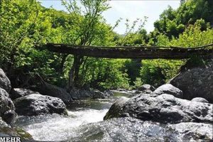 مشه سویی