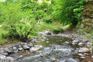 مشه سویی
