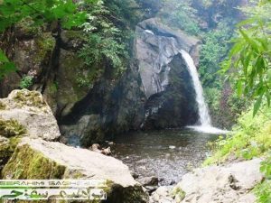 مشه سویی
