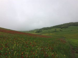 روستای ننه کران